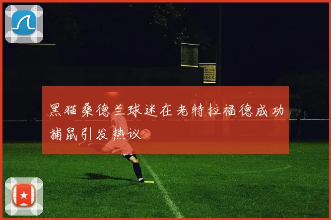 黑猫桑德兰球迷在老特拉福德成功捕鼠引发热议